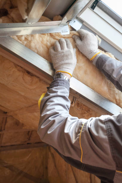 Best Specialized Insulation Services in White Rock, NM