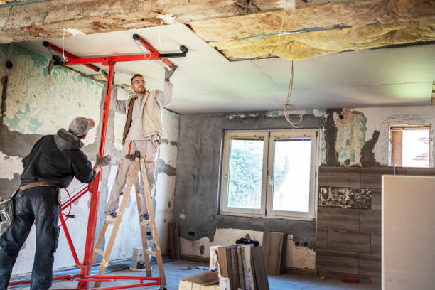 Best Commercial Insulation in White Rock, NM